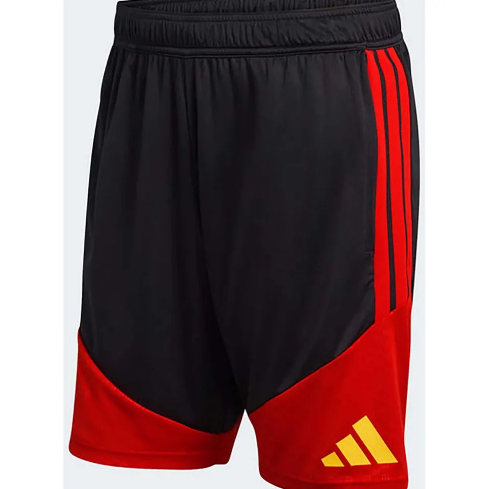 België Training Shorts