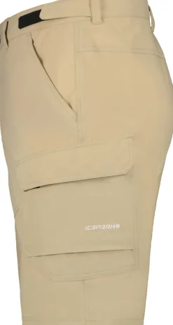 Braswell short