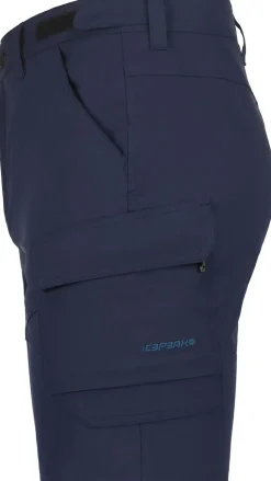 Braswell short