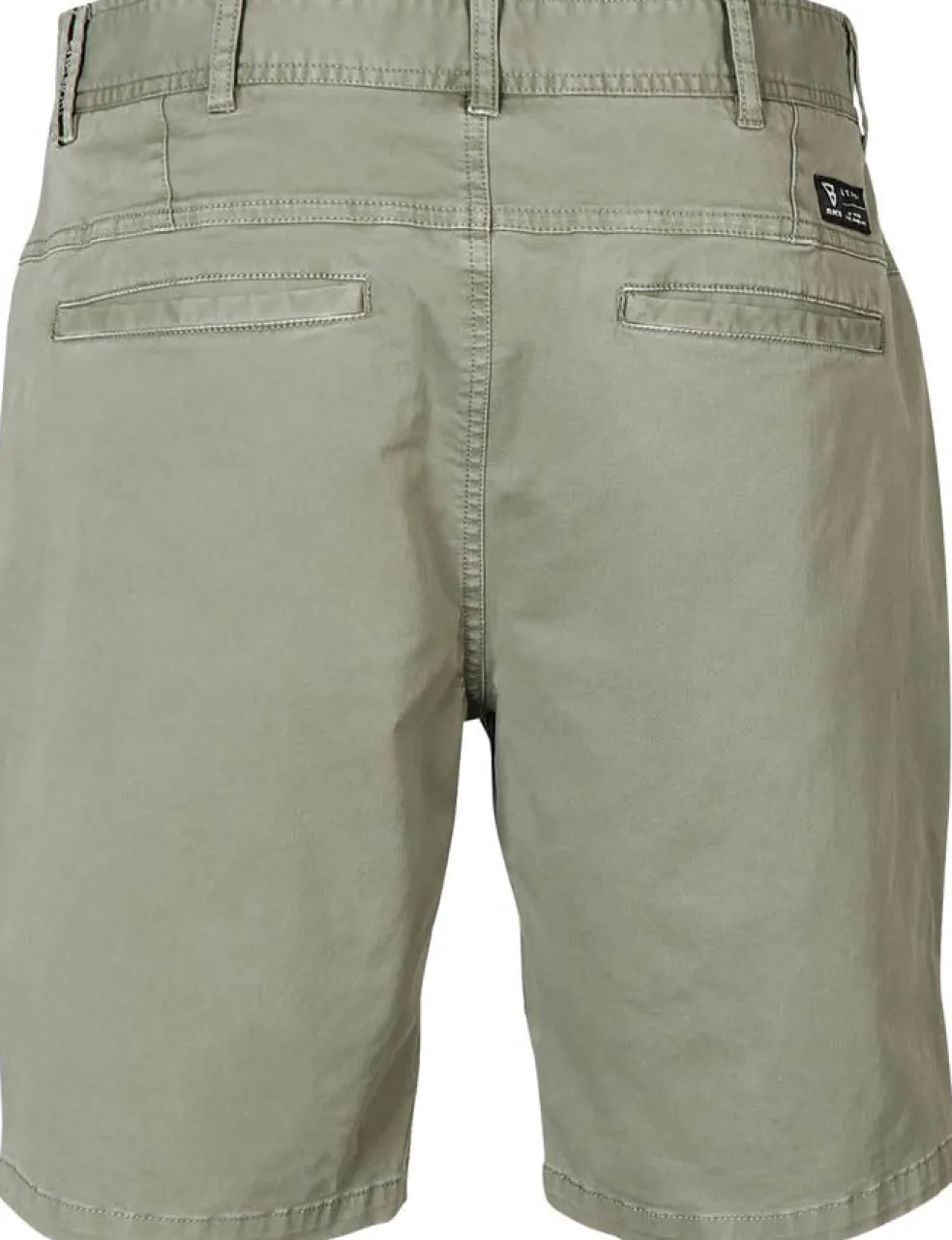 CambECO-N short