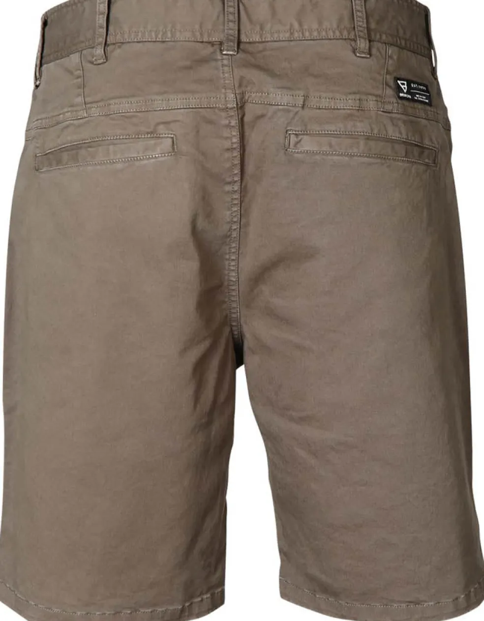CambECO-N short