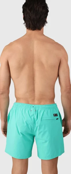 Cester Men Swim Shorts