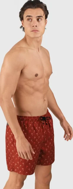 Cester-mini Men Swim Shorts