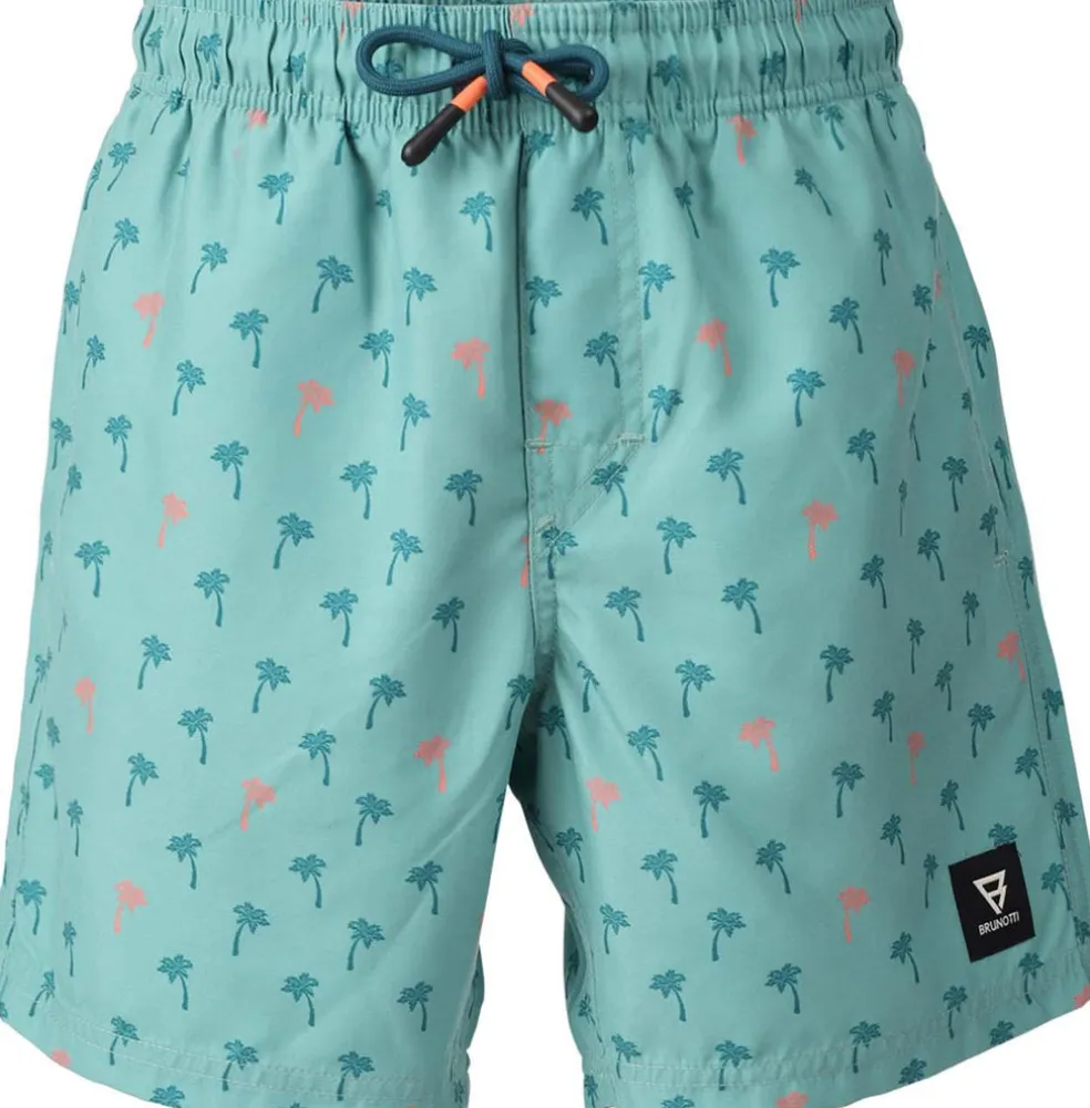 Cestery-mini Boys Swim Shorts
