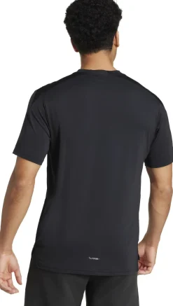 D4t Int. Tee