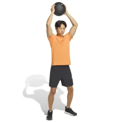 D4T Training T-shirt