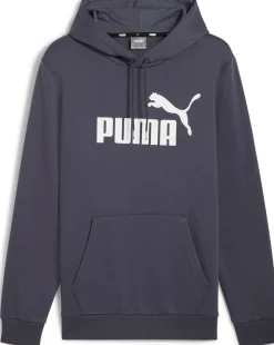 Essential Big Logo hoodie