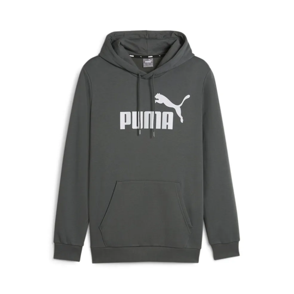 Essential Big Logo hoodie
