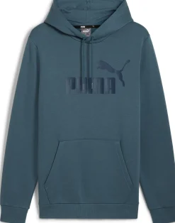 Essential Big Logo hoodie