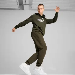Essential Big Logo hoodie