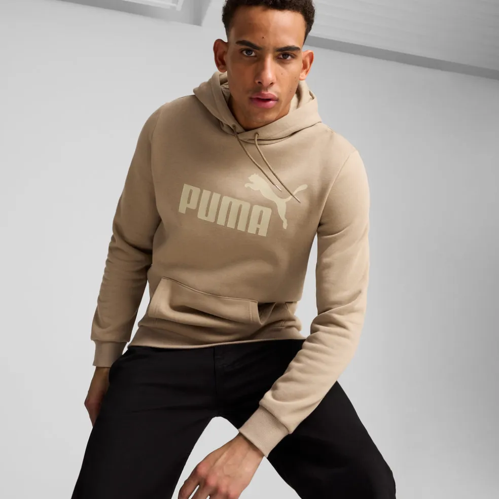 Essential Big Logo hoodie