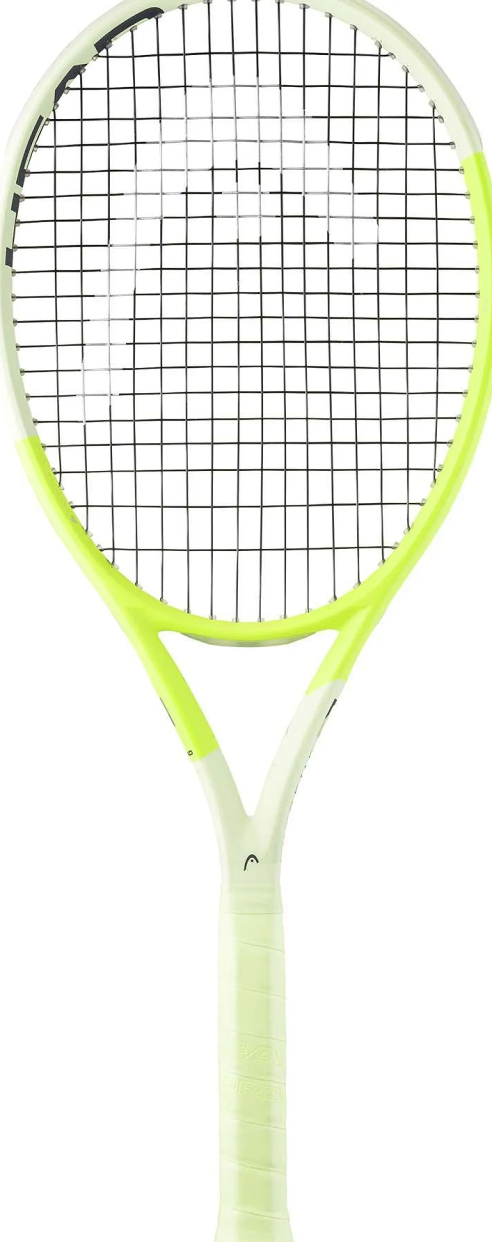Extreme Mp L 2024