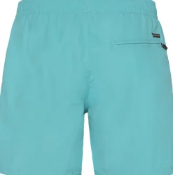Faster Beachshort