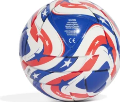 Fcwc Mini
