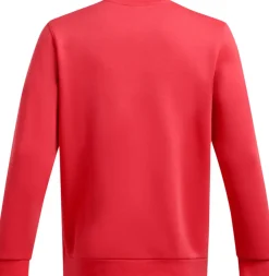 Icon Fleece Crew sweater