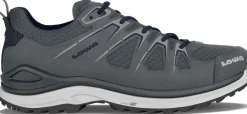 Innox Evo Gtx Lo wandelschoenen