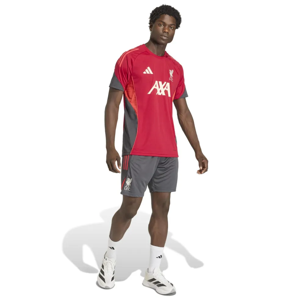 Liverpool FC Tiro 25 Competition Training Short