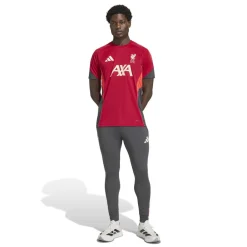 Liverpool FC Tiro 25 Competition Training Broek