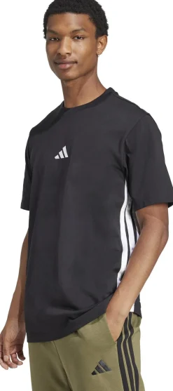 M 3s Sj T