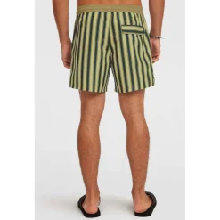 Originals Stripe 15 Zwemshort