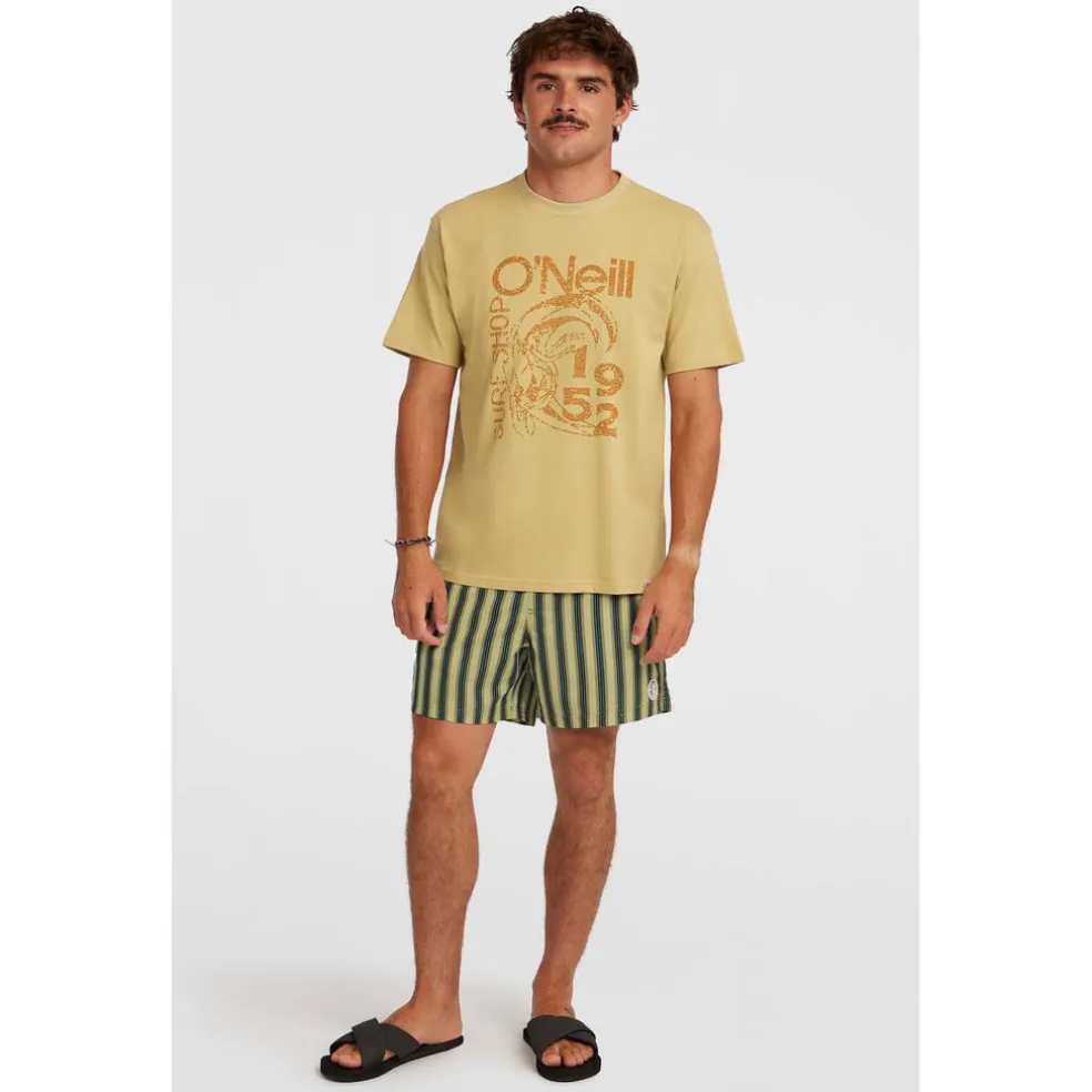 Originals Stripe 15 Zwemshort