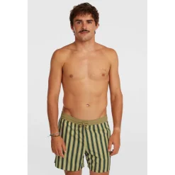 Originals Stripe 15 Zwemshort