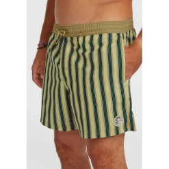 Originals Stripe 15 Zwemshort