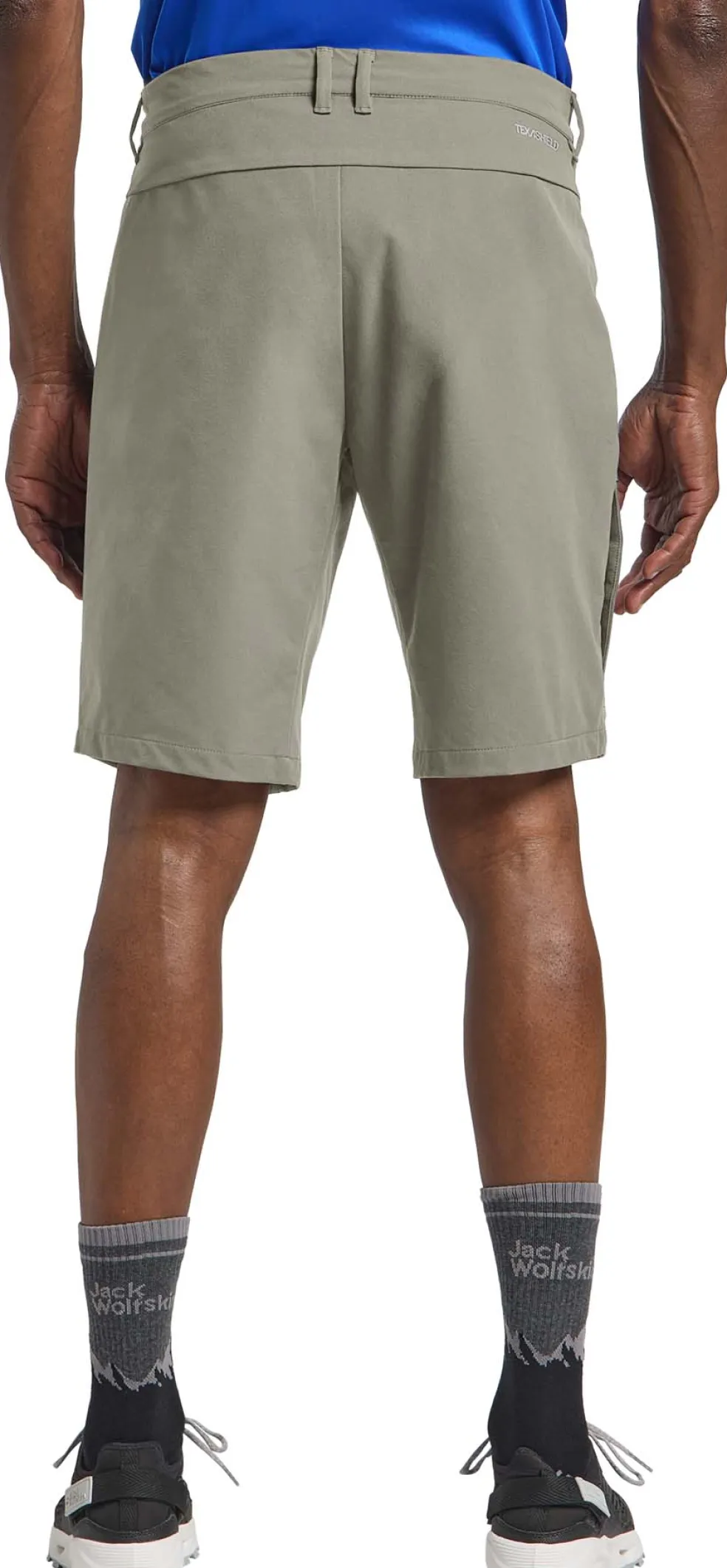 Pico Trail short