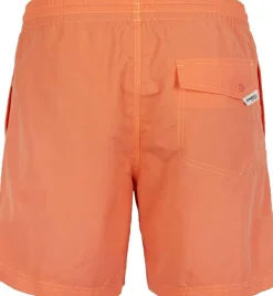 Pm Vert Shorts