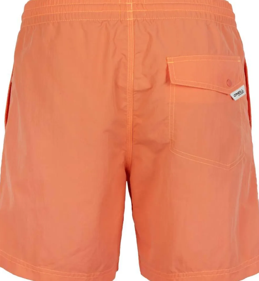 Pm Vert Shorts