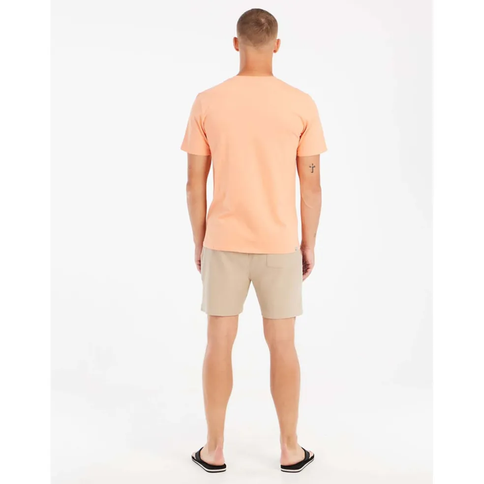 Prtgraig Shorts