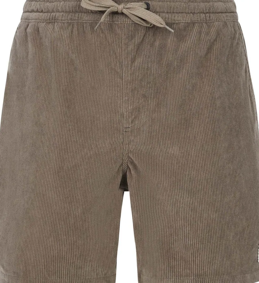 Prtuleyo Shorts