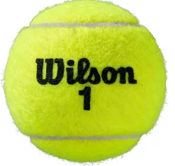Roland Garros All Court 3-tin tennisballen