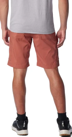 Silver Ridge Utility Cargo short