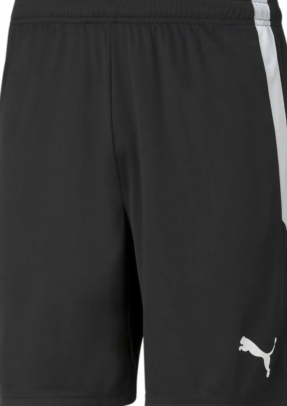 TeamLIGA Shorts Short