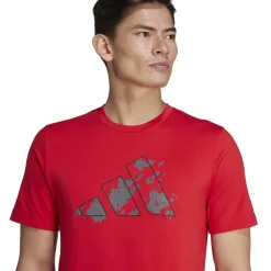 Train Essentials Seasonal Training Graphic shirt
