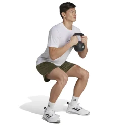 Train Essentials Seasonal Training Graphic shirt