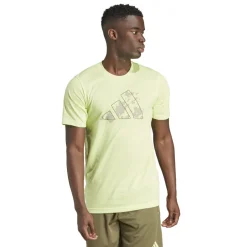 Train Essentials Seasonal Training Graphic shirt