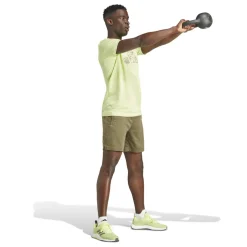 Train Essentials Seasonal Training Graphic shirt