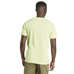 Train Essentials Seasonal Training Graphic shirt