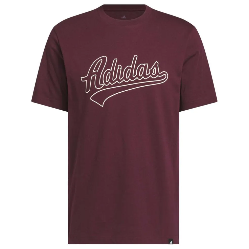 Varsity Tailsweep Graphic T-shirt