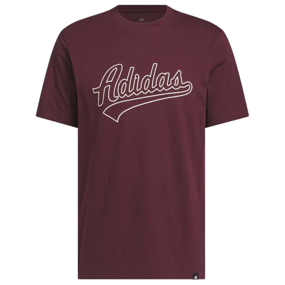 Varsity Tailsweep Graphic T-shirt