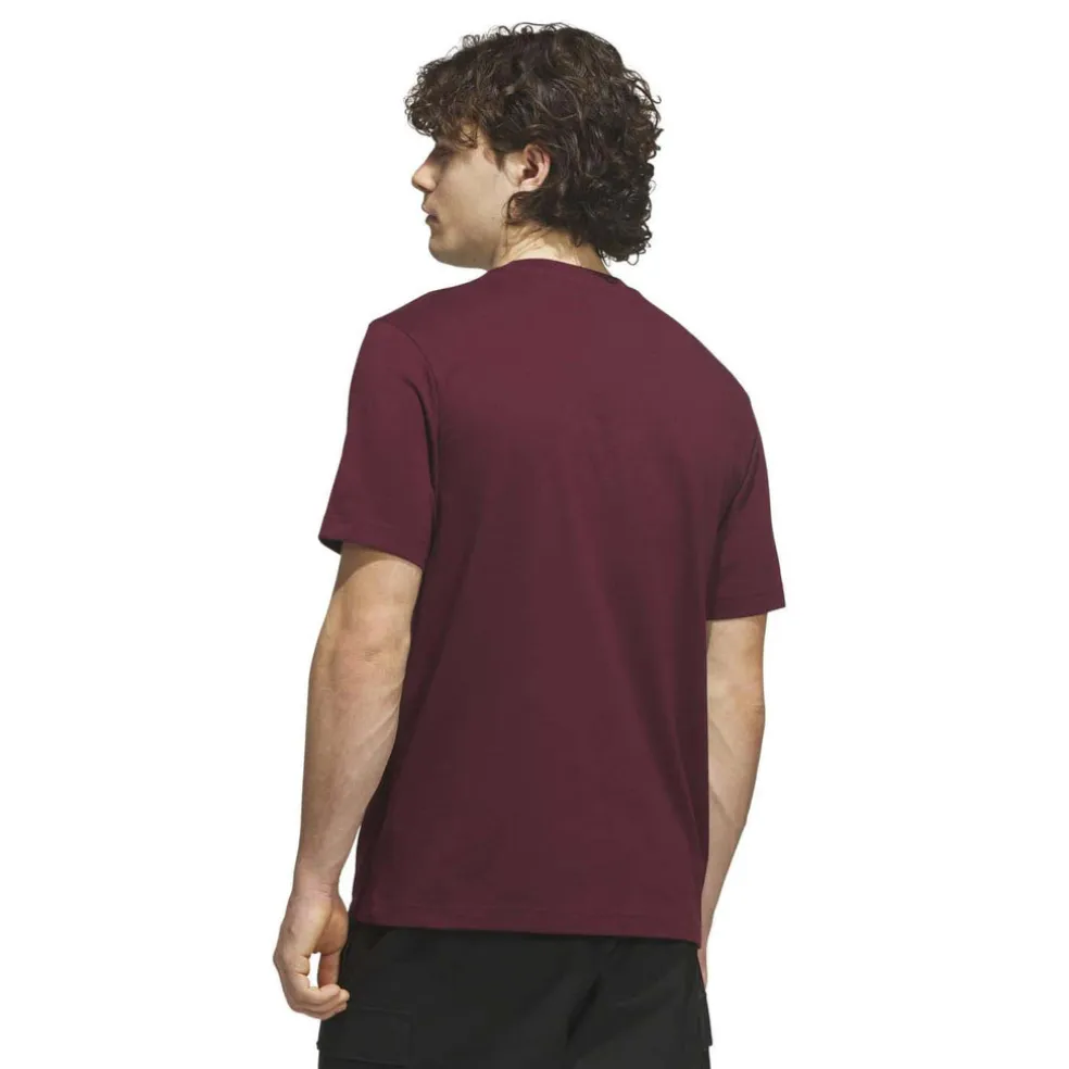 Varsity Tailsweep Graphic T-shirt