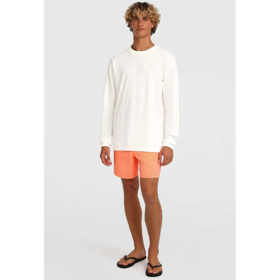 Vert 16 Zwemshort