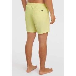 Vert 16 Zwemshort