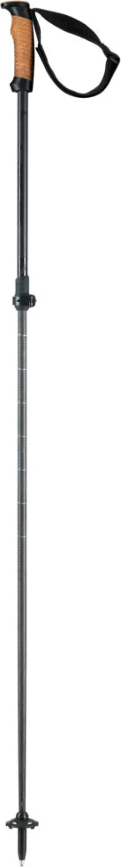 Voyager skistok