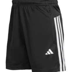 We Basic 3SPQ korte broek training