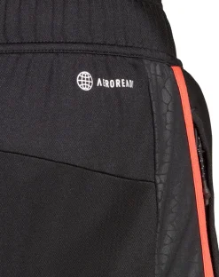 Work Out Base short